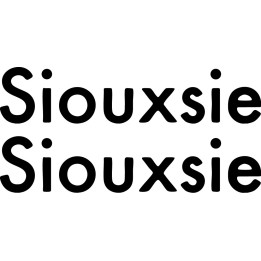 Siouxsie and the Banshees Stickers – Post-Punk Decals (2-Pack)