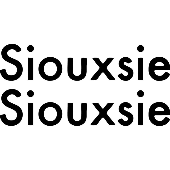 Siouxsie and the Banshees Stickers – Post-Punk Decals (2-Pack)