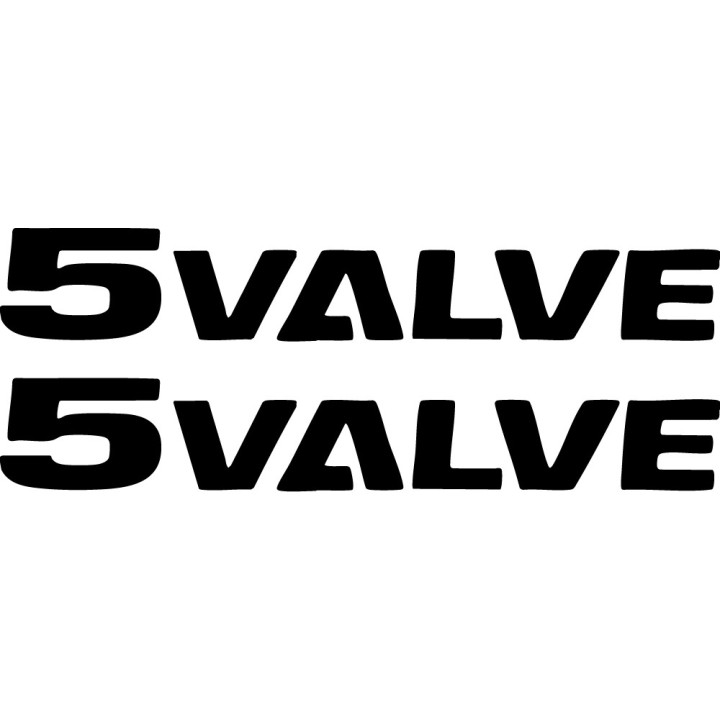 Buy 5 Valve Decal Sticker Online