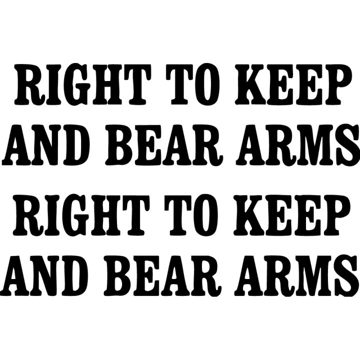 Right to Bear Arms Stickers – 2nd Amendment Decals (2-Pack)
