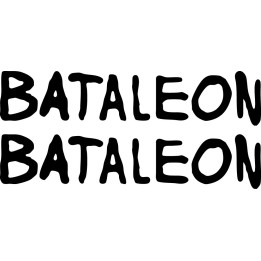 Buy Bataleon Disaster Text Decal Sticker Online