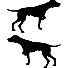 Buy German Shorthaired Pointer Dog 2 Sticker Online