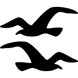 Hollister Seagull Stickers – Surf Lifestyle Decals (2-Pack)