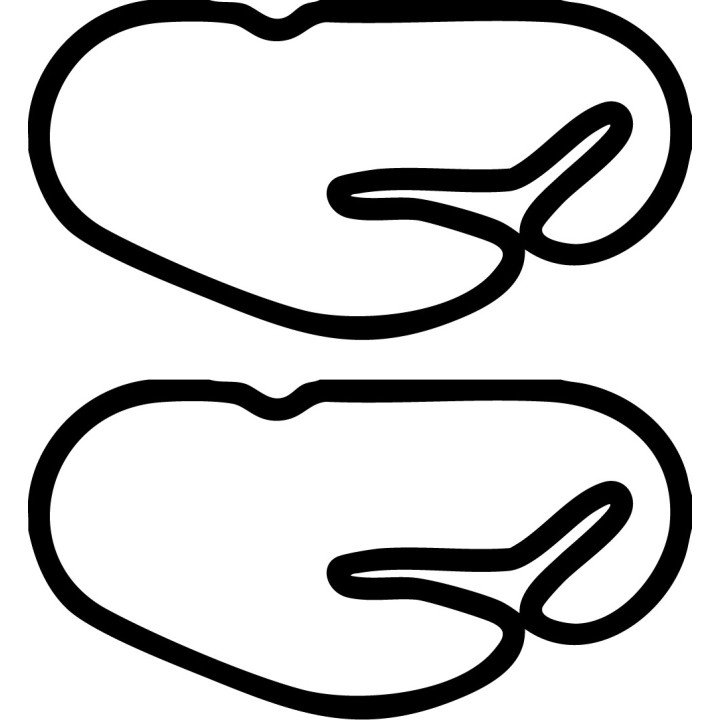 Buy DAYTONA INTL SPEEDWAY ROAD COURSE DECAL Online