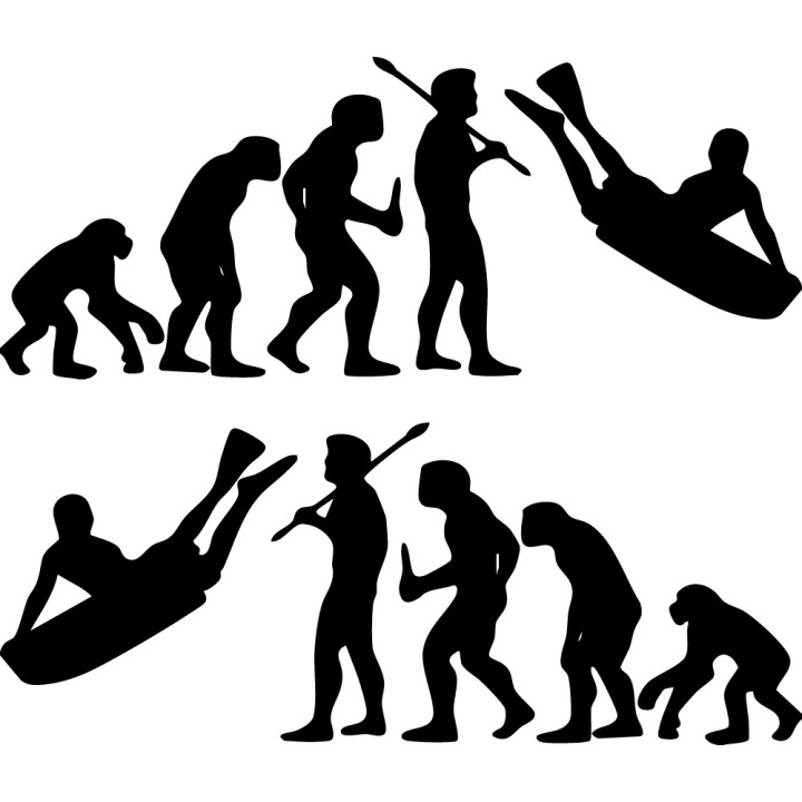 Buy Evolution Of Bodyboarding Surf Vinyl Sticker Decal Online
