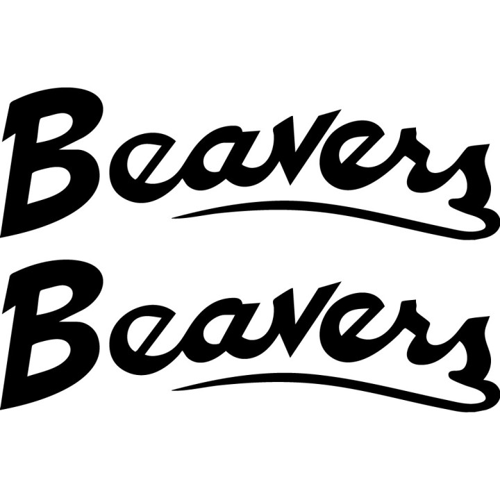 Beaver Decal Sticker V21 - DecalsHouse