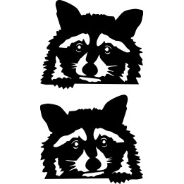 Raccoon Coon Vinyl Decal Sticker V19 - DecalsHouse