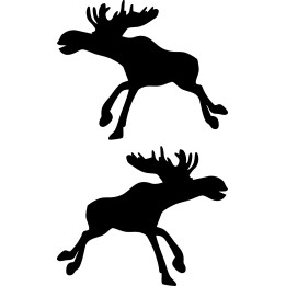 Moose Vinyl Decal Sticker V26 - DecalsHouse
