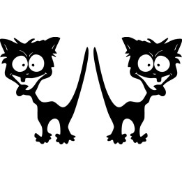 Crazy Black Cat Sticker Vinyl Decal - DecalsHouse