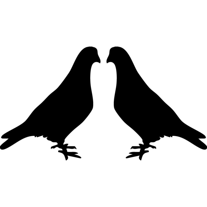 Pigeon Vinyl Decal Sticker V18 - DecalsHouse
