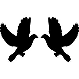 Pigeon Vinyl Decal Sticker V13 - DecalsHouse