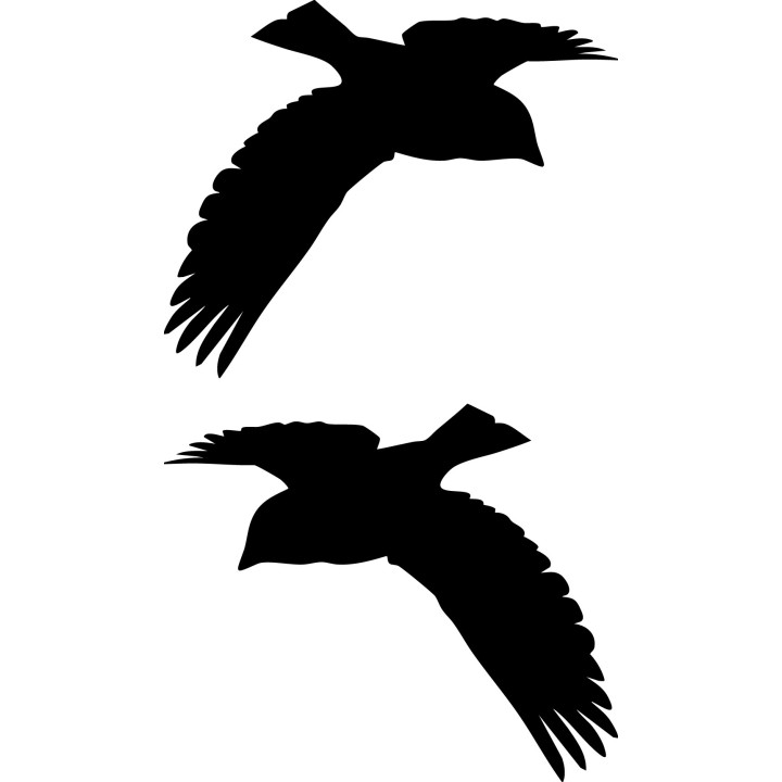 Pigeon Vinyl Decal Sticker V14 - DecalsHouse