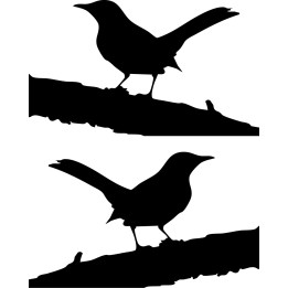 Finch Bird Vinyl Decal Sticker V9 - DecalsHouse