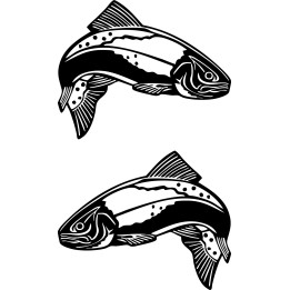 Speckled Sea Trout Vinyl Decal Sticker - DecalsHouse