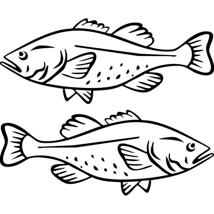 Cod Fish Stickers – Sea Fishing Decals (2-Pack)