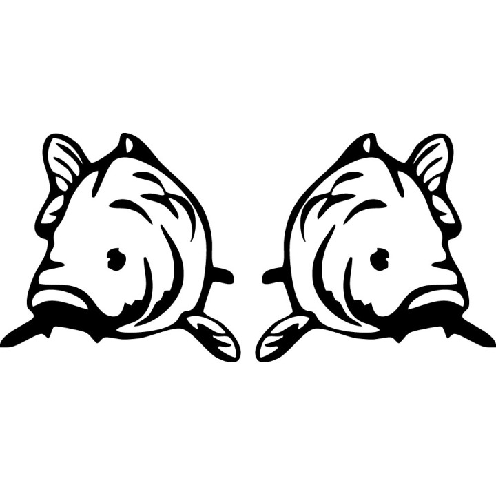 Chilean Sea Bass Stickers – Saltwater Fishing Decals (2-Pack)