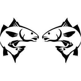 Chilean Sea Bass Stickers – Fishing Decals (2-Pack)
