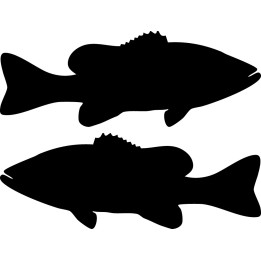 Chilean Sea Bass Stickers – Fish Silhouette Decals (2-Pack)