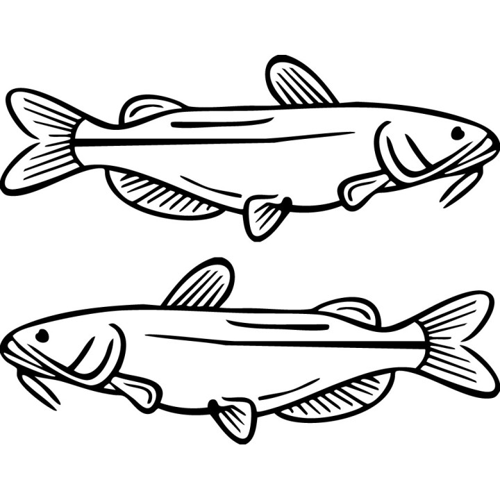 Catfish Vinyl Decal Sticker V30 - DecalsHouse