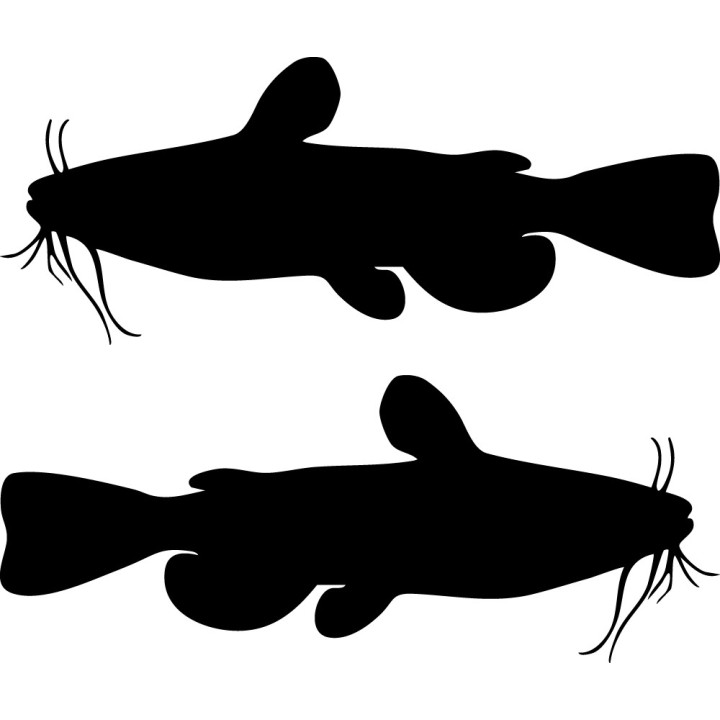 Catfish Vinyl Decal Sticker V27 - DecalsHouse
