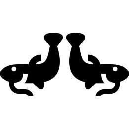 Catfish Vinyl Decal Sticker V26 - DecalsHouse