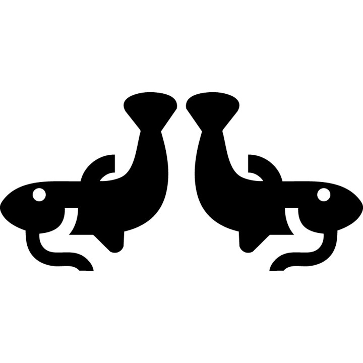 Catfish Vinyl Decal Sticker V26 - DecalsHouse