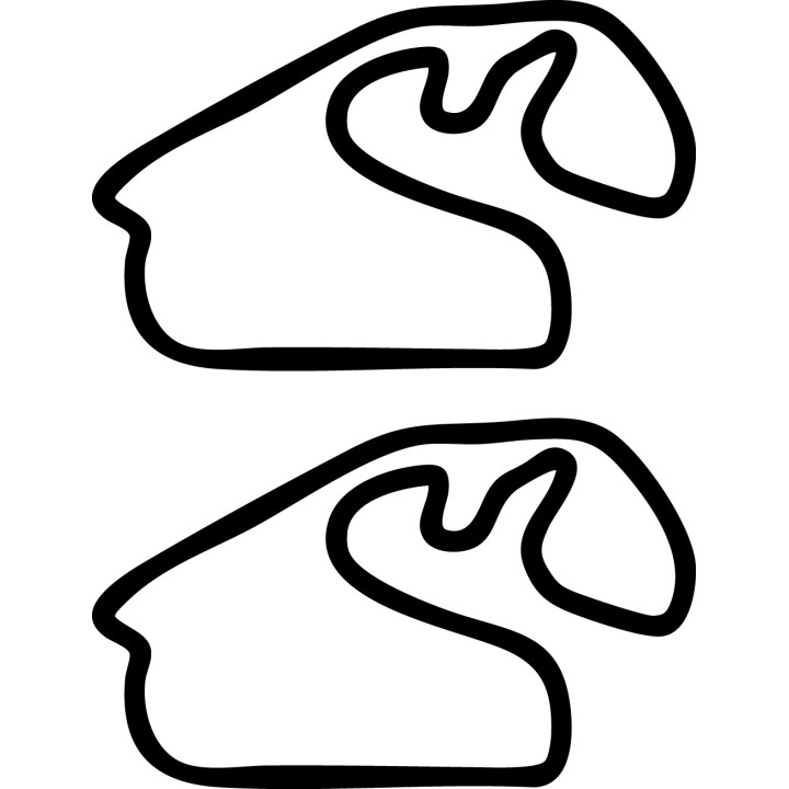 Buy AUTODROMO JOSE CARLOS PACE INTERLAGOS DECAL Online