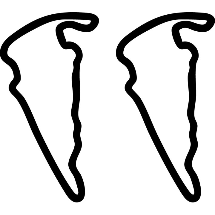 Buy VIRGINIA INTERNATIONAL RACEWAY FULL COURSE DECAL Online