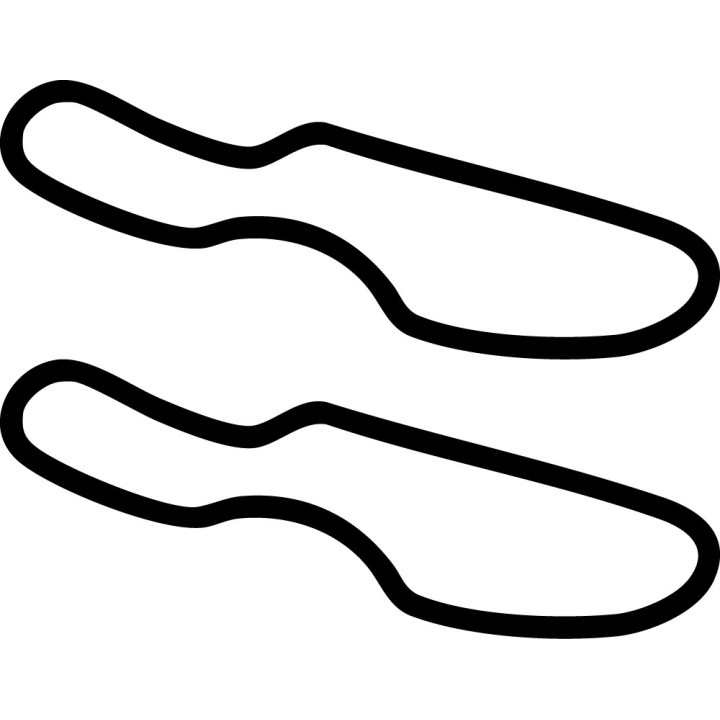 Buy TEXAS MOTOR SPEEDWAY INFIELD COURSE DECAL Online