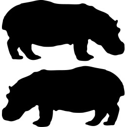 Buy Short Hippopotamus Decal Sticker Online