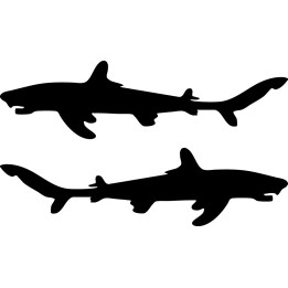 Shark Silhouette Stickers – Ocean Decals (2-Pack)
