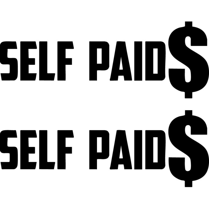 Self Paid$ Stickers – Hustle Entrepreneur Decals (2-Pack)