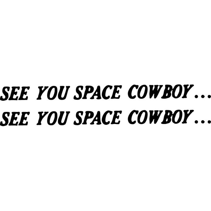 See You Space Cowboy Stickers – Cowboy Bebop (2-Pack)