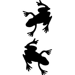 Buy Realistic Toad Decal Sticker Online