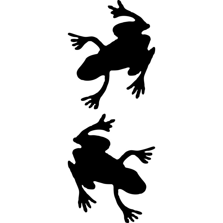 Buy Realistic Toad Decal Sticker Online