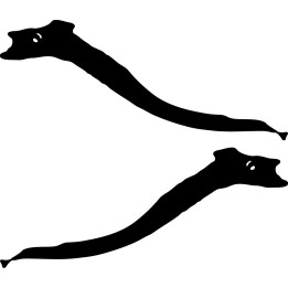 Eel Stickers – Moray Eel Sea Snake Decals (2-Pack)
