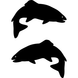 Buy Rainbow Trout Fish Vinyl Decal Sticker Online