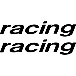 Buy Racing Large Decal Sticker Online