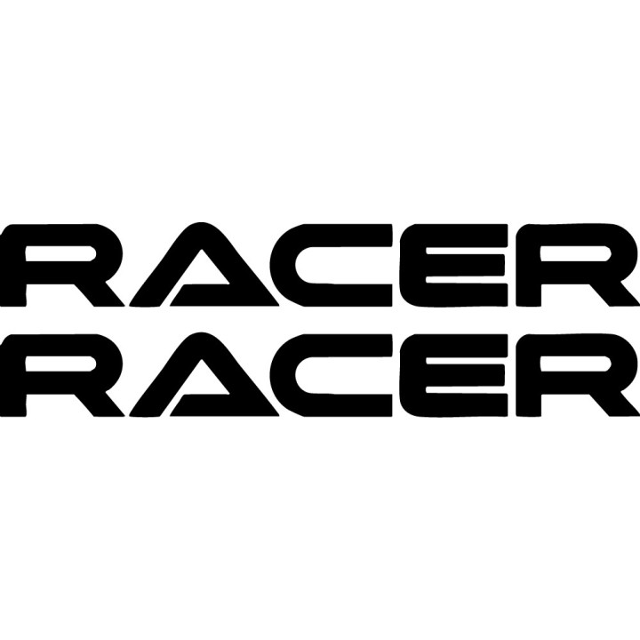 Buy Racer 2 Vinyl Decal Sticker Online