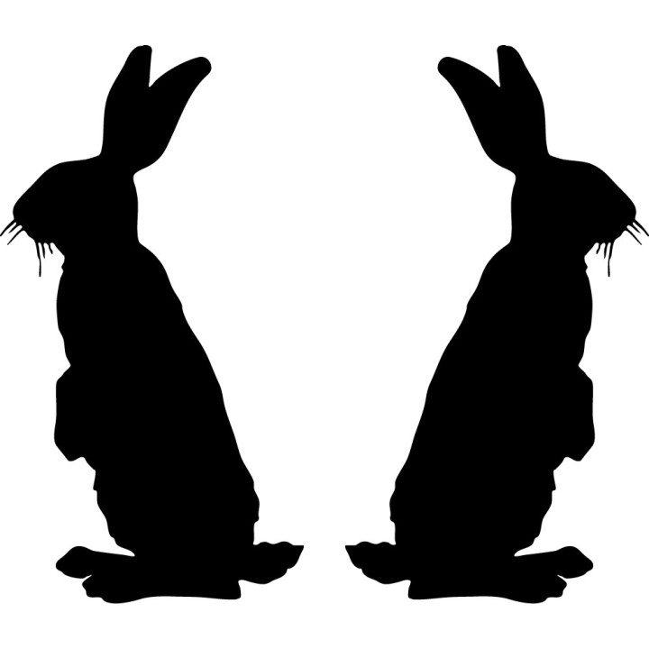 Buy Rabbit Vinyl Decal Sticker Online