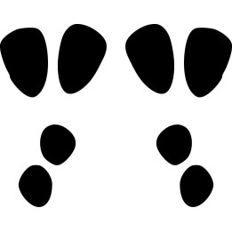Buy Rabbit Decal Sticker Online