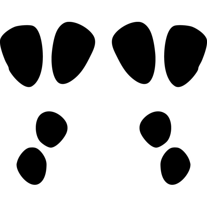 Buy Rabbit Decal Sticker Online