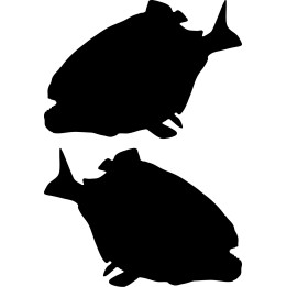 Piranha Fish Stickers – Amazon Wildlife Decals (2-Pack)