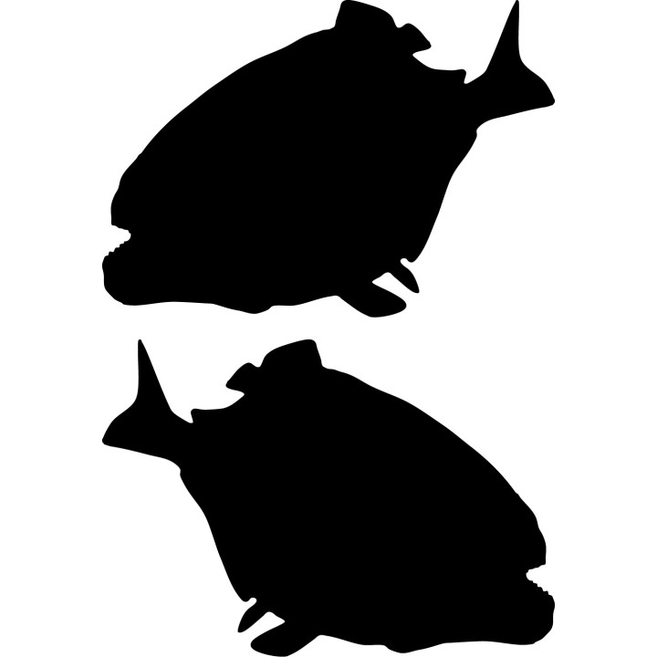 Piranha Fish Stickers – Amazon Wildlife Decals (2-Pack)