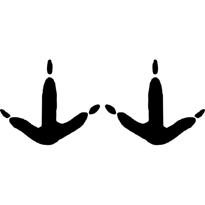 Buy Pheasant Foot Print Foot Track Decal Sticker Online