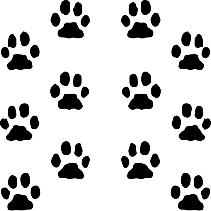 Buy Paw Prints Decal Sticker Online