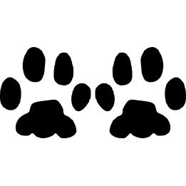 Buy Paw Print Decal Sticker Online