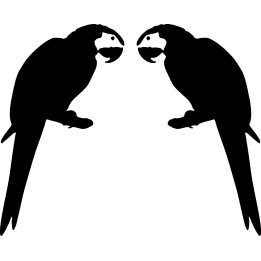 Buy Parroti 2 Decal Sticker Online