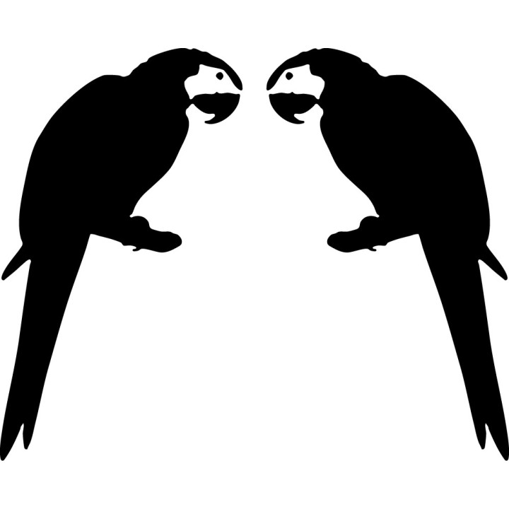 Buy Parroti 2 Decal Sticker Online