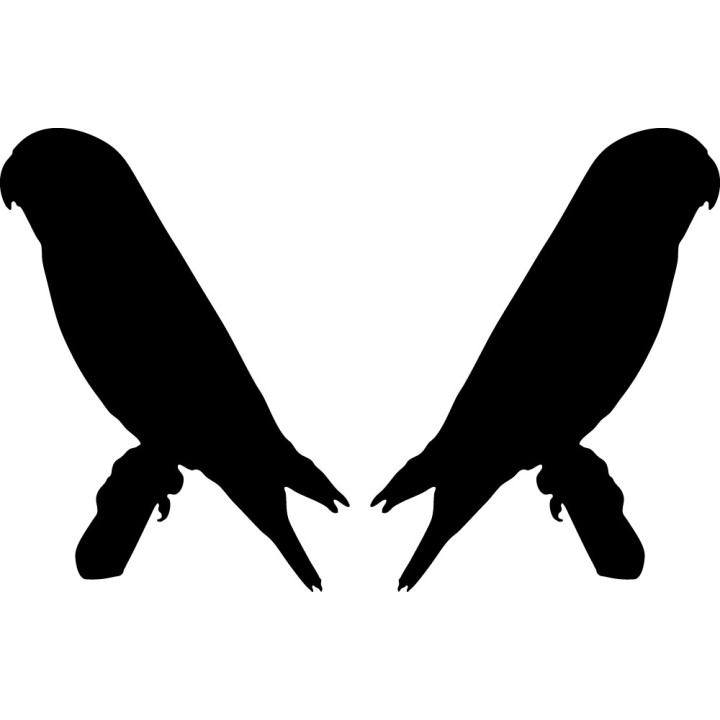 Buy Parakeet 2 Decal Sticker Online